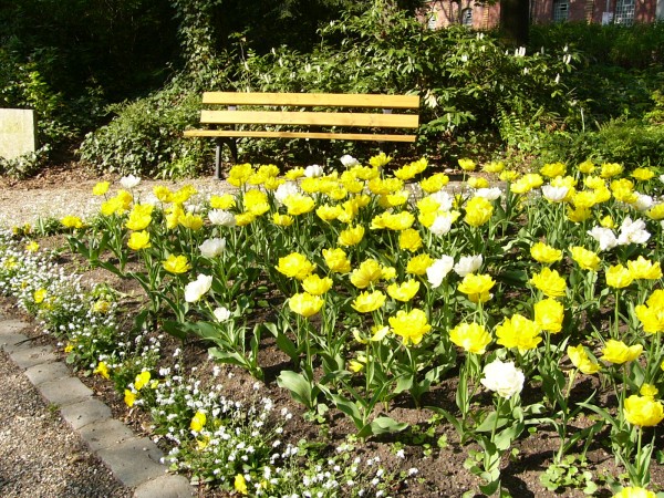 Tierpark Röhrensee – Blumen