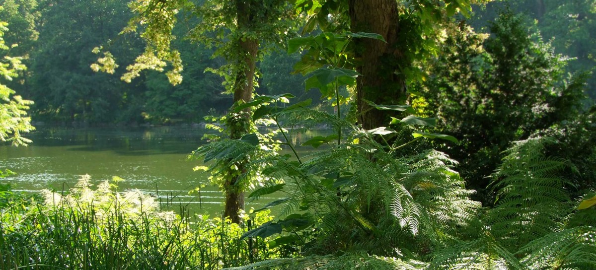 Tierpark Röhrensee – See