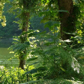 Tierpark Röhrensee – See