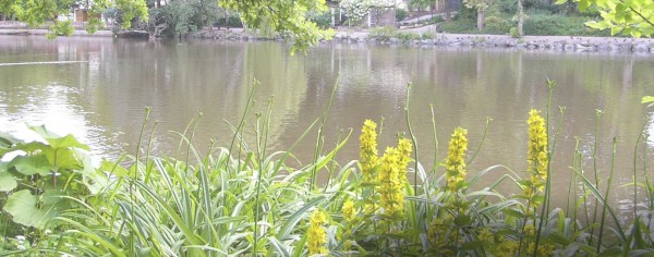 Tierpark Röhrensee – See