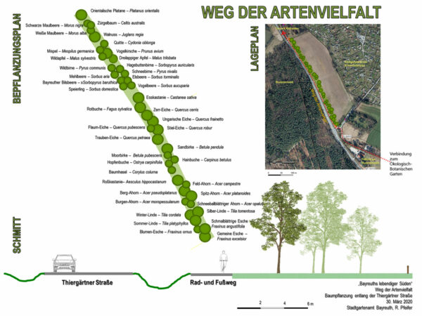 Weg der Artenvielfalt – Baumpatenschaft