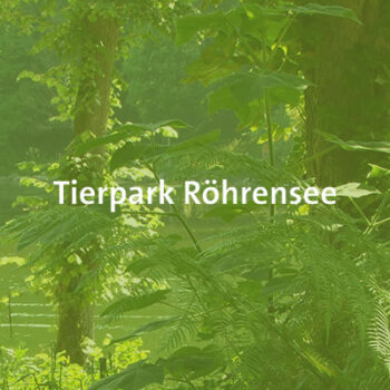 Tierpark Röhrensee – Alternatives Beitragsbild