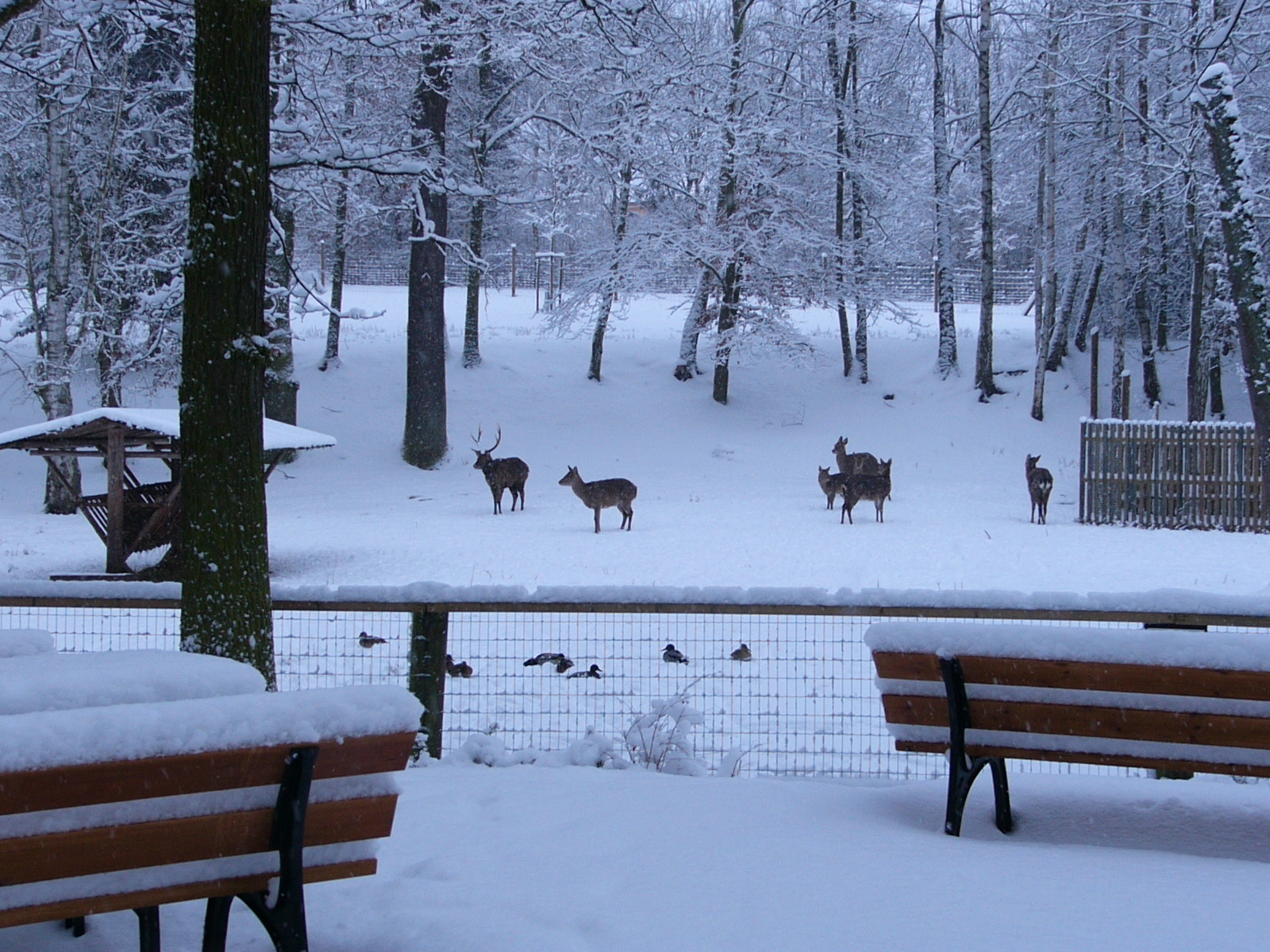 Winterführung